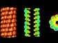 protein coat for the soybean mosaic virus