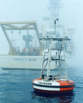 Photo of deployed DART buoy