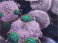 This illustration depicts white blood cells swarming to attack HIV in the brain