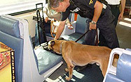 Image of a canine explosive-detection team working on a commuter train.