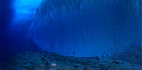 under the ice of McMurdo Sound, Antarctica