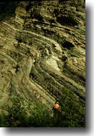 A Geologist on a Drag Folded Fault