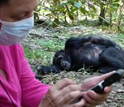 Foreground:  Taranjit Kaur entering data into a PDA; background: sleeping chimpanzee.