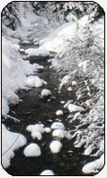 picture of a stream in winter