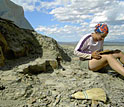 Photo of Ellen Currano collecting fossil leaves in Wyoming's Bighorn Basin