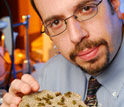 Photo of assistant professor Michael Goodisman holding a section of yellow jacket's nest.