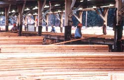 Sorting and stacking lumber.