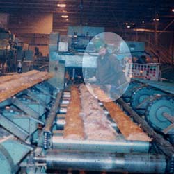 Worker too close to unguarded infeed rolls, chains and saws.