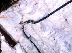 Damaged flexible cord in sawmill.