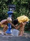 children drinking water