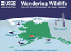 Wandering Wildlife - Telemetry