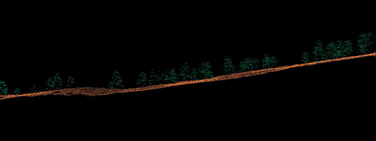 Vegetation LIDAR point cloud.