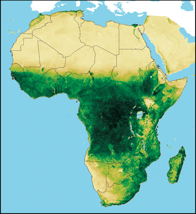 Normalized Difference Vegetation Index (NDVI) data used in FEWS NET activities, with a spatial resolution of 8 km. The NDVI measures the amount and vigor of vegetation on the Earth’s surface. The magnitude of NDVI is related to the level of photosynthetic activity in the observed vegetation. In general, higher values of NDVI indicate greater vigor and amounts of vegetation. The NDVI is derived from data collected by NOAA satellites and processed by the NASA Global Inventory Monitoring and Modeling Studies (GIMMS). The USGS Earth Resources Observation and Science (EROS) Center further develops and processes the data before providing them to the FEWS NET.