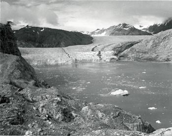 1950 Photo of Muir Glacier
