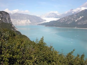 2004 Photo of Muir Glacier