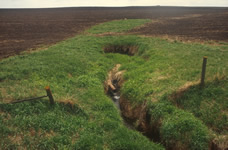 Outflow from a tile line that drains a northwestern Iowa agricultural field in the study area for the Midcontinent Herbicide Reconnaissance