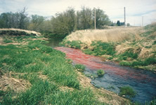 Dye was used in a study of atrazine (a herbicide) degradation on Roberts Creek, IA, to determine the transport time of water as it moves through the study reach of the stream. The red color in the stream is rhodamine WT dye