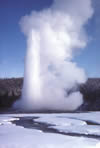 Old Faithful geyser erupting in the winter