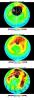 Selected Measurements of Total Arctic Column Ozone Amounts from Aura's Ozone Monitoring Instrument, 2004-2005 Arctic Winter