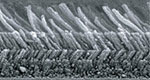 Layers of silica nanorods look like shag carpet when viewed with a scanning electron microscope