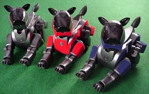 photo of three of the robotic 'dogs' from the RoboCup competition