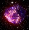 Stellar Debris in the Large Magellanic Cloud