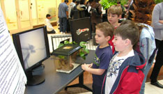 Photo of elementary school students viewing computer model of chameleon's prey capture movement