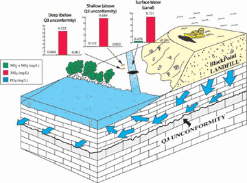 Graphic showing nutrient concentrations in ground water and surface canal water