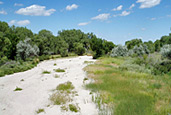 Picture of drought conditions at the Republican River at Stratton during the summer of 2005.  Photo credit R.B. Swanson. 