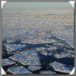 sea ice in the Arctic Ocean