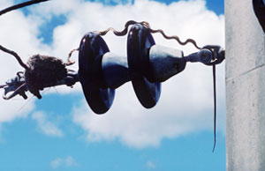 Photo of a Brown Treesnake which triggered a power outage (USGS photo).