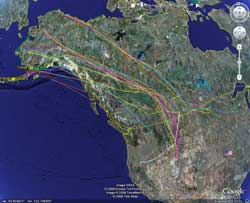 Tundra Swan locations viewed on Google Earth