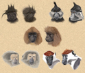 Researchers have yet to fully agree on how to classify all mangabey species