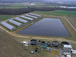 Photo: Swine farm with manure lagoon. Link to photo information