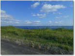 photo from atop dike at Lake Okeechobee