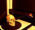Photo of human cranium being scanned in the High Resolution X-ray Computed Tomography Facility