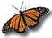 Monarch butterfly