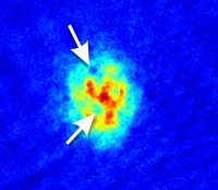 Quantum vortices shown by arrows form when super-cooled atoms expand.