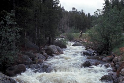 Photograph of large stream