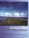 Action plan report cover