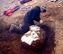 A researcher carefully excavates a fossilized juvenile plesiosaur on Vega Island, Antarctica.