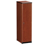 Harmony 17 in. W Solid Door Tower Cabinet