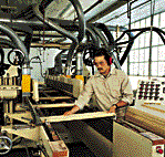 Man moving wood through belt machine