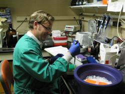 Dr. David Blehert working in his laboratory at the USGS National Wildlife Health Center (Cathy Acker, USGS)