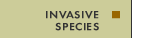 Invasive Species