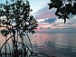 Scientists are conducting biocomplexity research in an oceanic mangrove system off Belize.