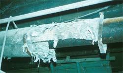 Close-up view of damaged asbestos pipe lagging in sawmill basement.