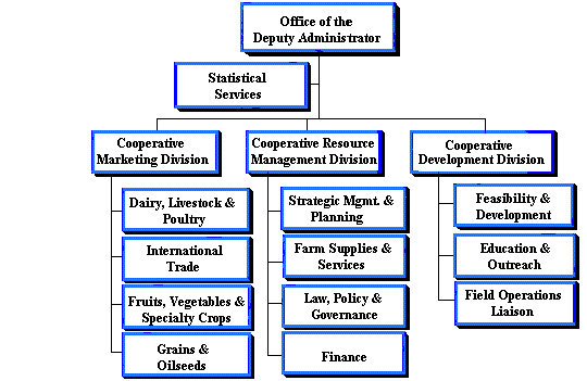 CS Org Chart