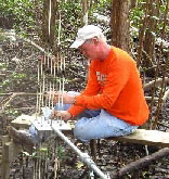 USGS scientist Gordon Anderson is filmed while he makes a measurement at the sediment elevation table - click to enlarge