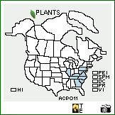 Distribution of Actaea podocarpa DC.. . Image Available. 